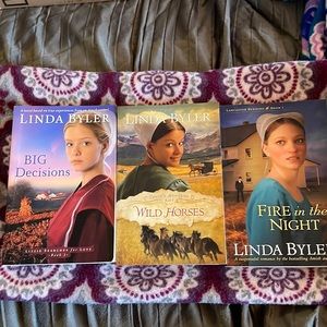 3 best-selling books by Amish Author Linda Byler. All three sold as a bundle.